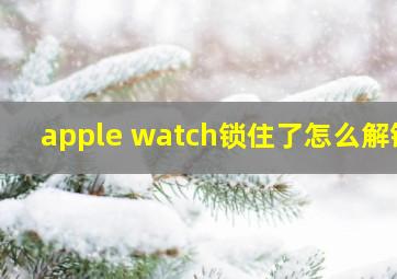 apple watch锁住了怎么解锁